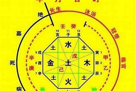 五行喜金水|八字入门基础 第六篇 如何判断八字喜用神